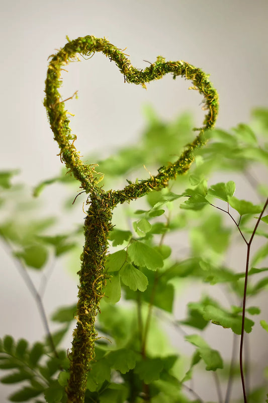 Mossy Heart Trellis Stakes