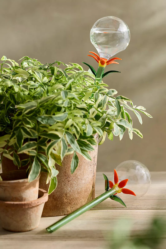 Floral Glass Watering Globes