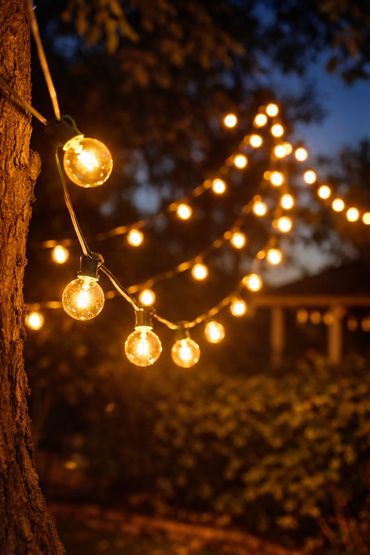 Stargazer Garden Lights